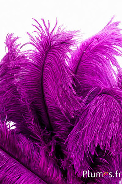 Strauss - 30-40 cm - naturgrau-fuchsia